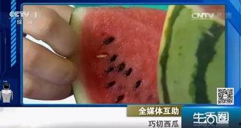 小伙吃瓜不吐籽成西瓜人,小伙吃瓜不吐籽，诠释独特生活态度