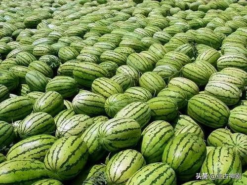 卫老师吃瓜,揭秘娱乐圈幕后故事