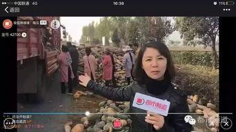 吃瓜群众浓眉姐,吃瓜群众的焦点人物