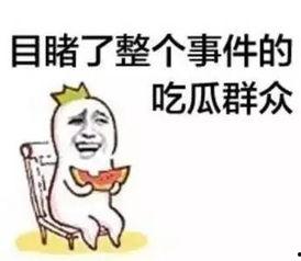 吃瓜群众抓狂笑哭,盘点那些让人捧腹大笑的瞬间