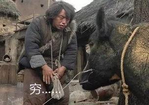 牛二吃瓜,揭秘娱乐圈的幕后故事