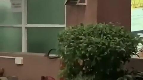 v哥吃瓜,揭秘娱乐圈幕后故事