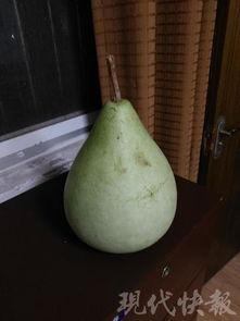 盐城小瓜怎么吃,解锁夏日清新美味