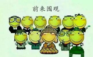 吃瓜群众承德,吃瓜群众眼中的美食天堂