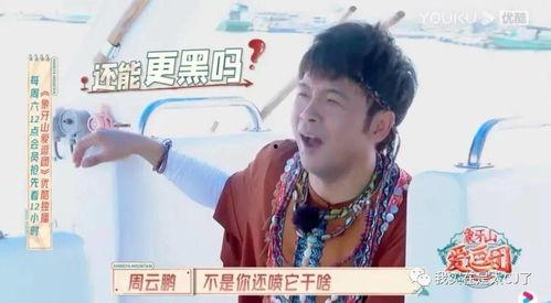 宝哥吃瓜,揭秘娱乐圈幕后故事