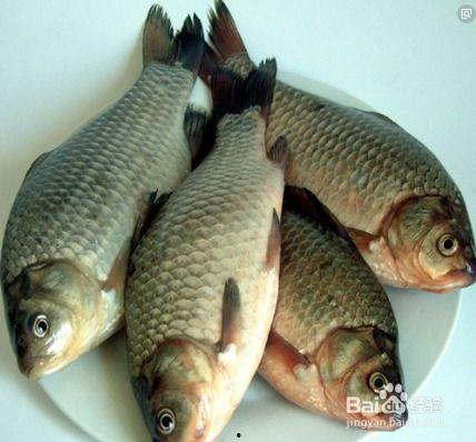 鲫吃瓜什么不同,一场味蕾与自然的对话