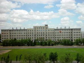 锦州大专吃瓜,揭秘校园里的那些“瓜”