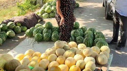 路边上吃瓜,揭秘路边吃瓜的趣味时光