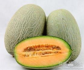僵尸吃哈密瓜,哈密瓜引发的惊悚盛宴